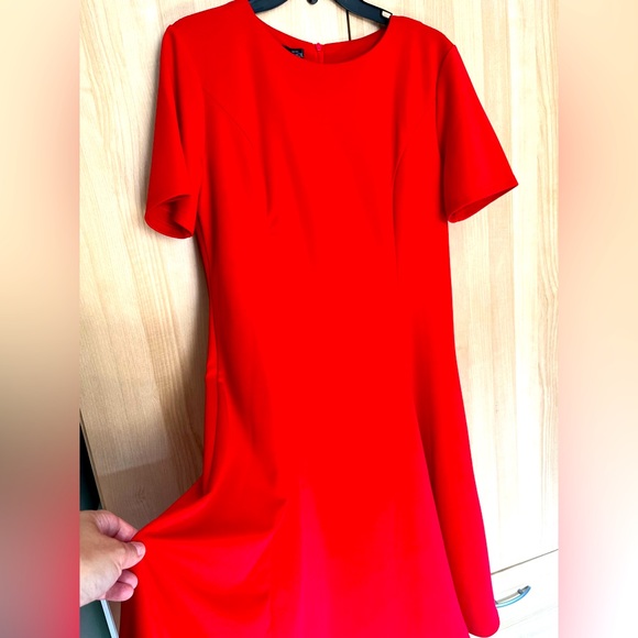 Red Dress - Picture 3 of 3